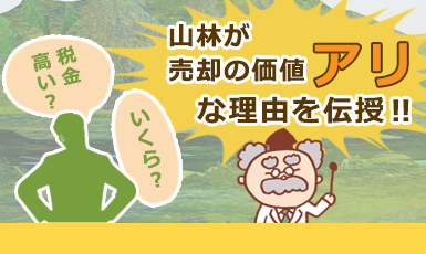 山林売買の現状から価格相場や売却可能性を紐解く！税金や費用もまとめて解説e