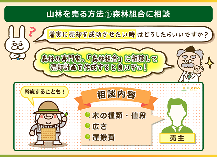 森林組合に相談して綿密な売却計画を立てる