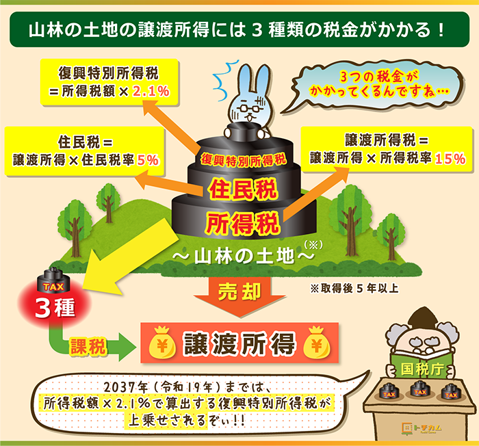 山林の土地の譲渡所得には3つの税金が課税される