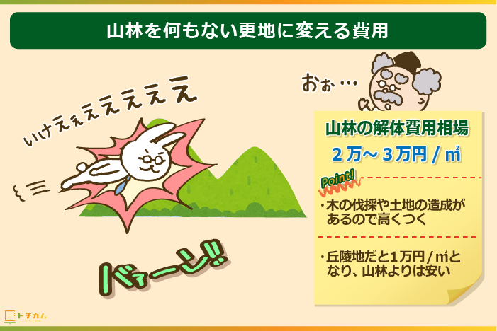 山林を何もない更地に変える費用は合計額がかなりのものに！